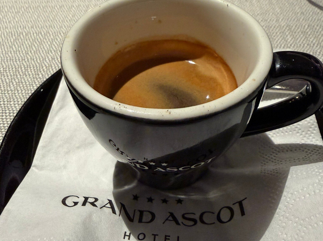 阿斯科特大酒店主图