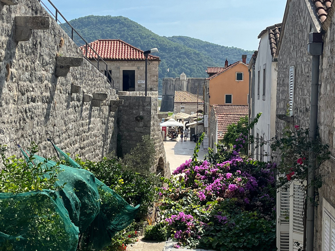 Ston Old Town-斯顿必去景点