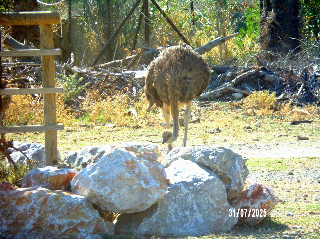 Réserve Africaine de Sigean-Sigean必去景点