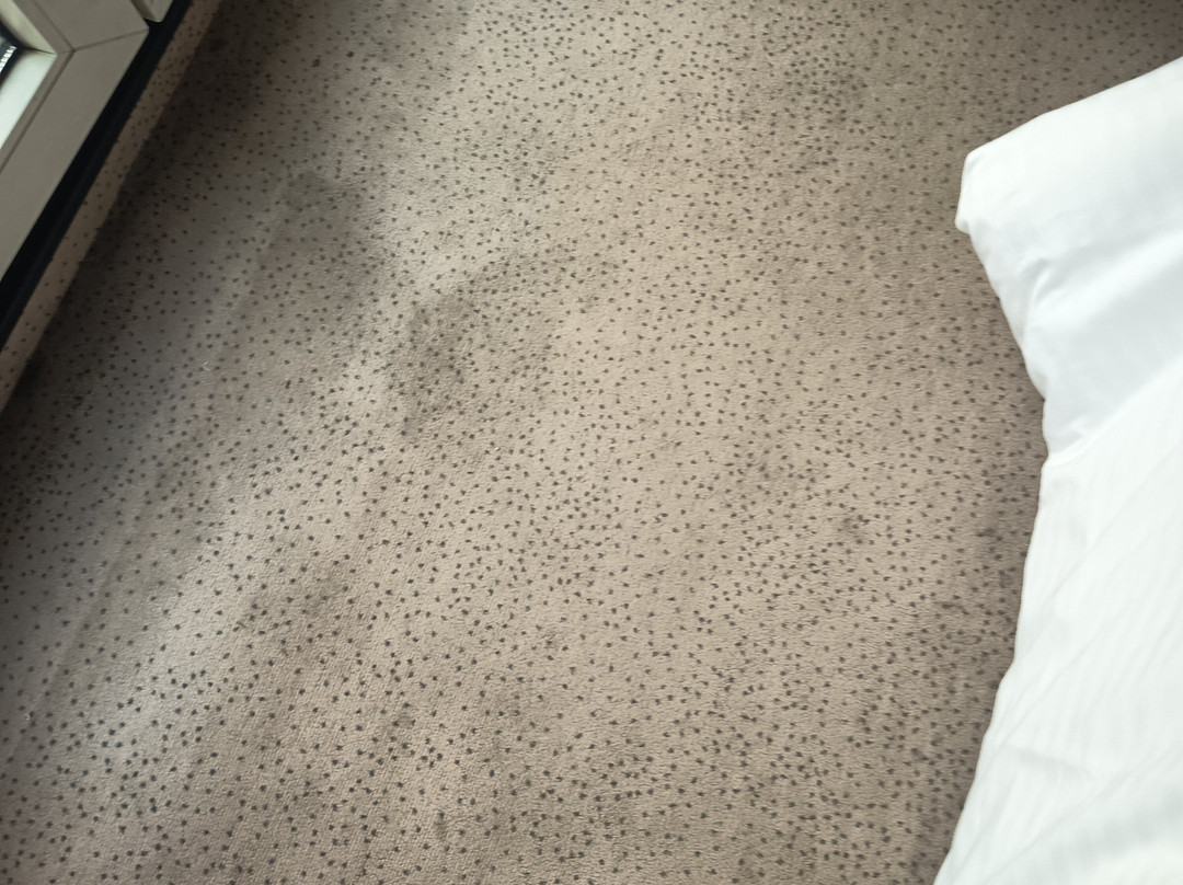 康瑟尔鲁昂1号酒店主图