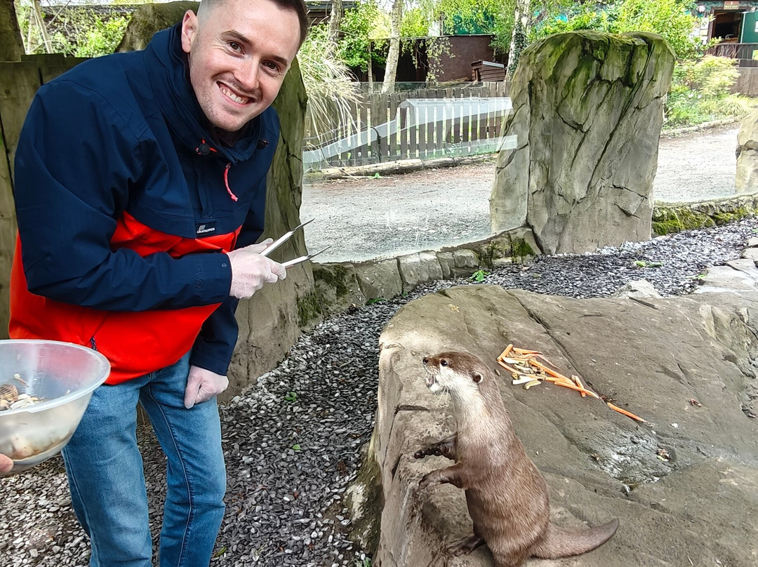 Exotic Zoo Wildlife Park + Natural History & Dino Museum-特尔福德必去景点