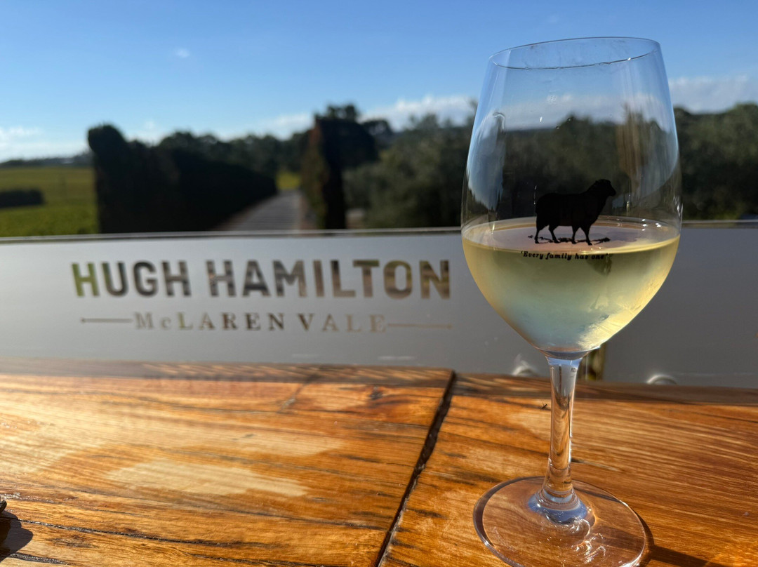 Hugh Hamilton Wines-麦克拉伦谷必去景点