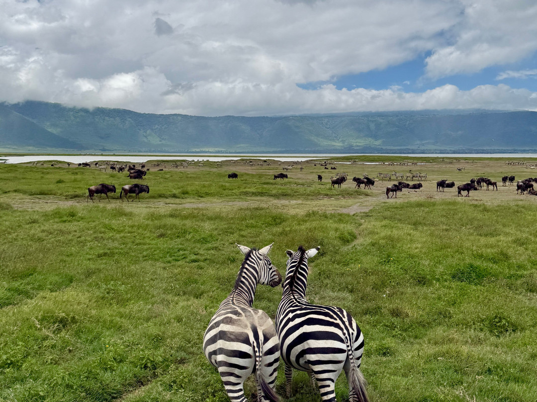 Unlimited Expeditions - The Soul Of Tanzania-阿鲁沙必去景点