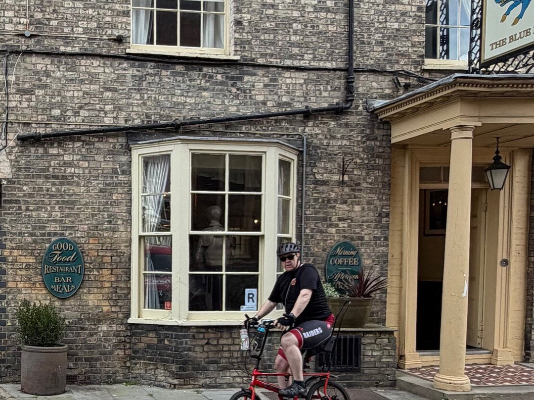 蓝野猪酒店主图