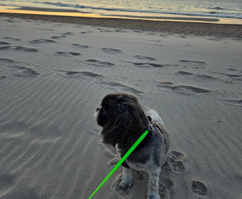 Interferie Dąbki SU Argentyt主图