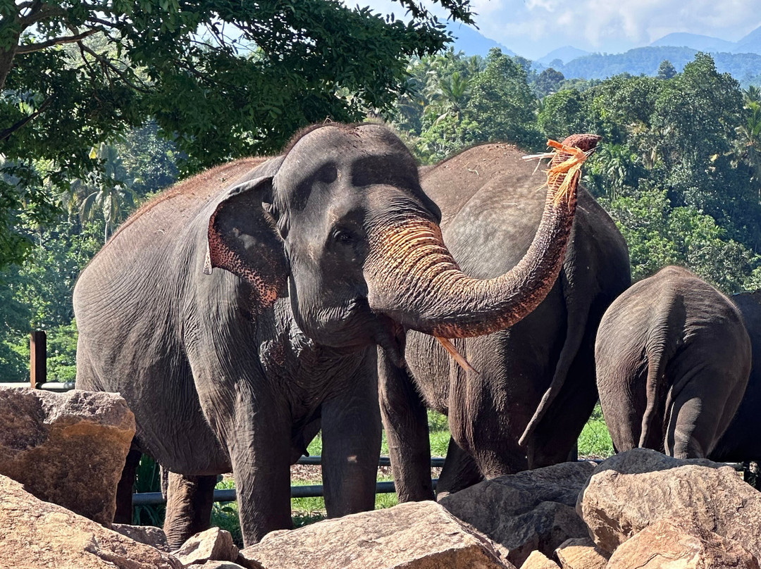 Riu Manga Tours-亚洪加拉必去景点