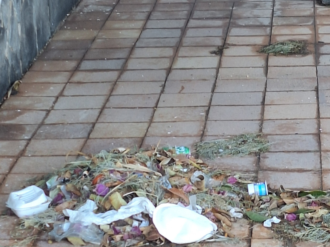 富埃特文图拉岛海滩俱乐部住宿主图