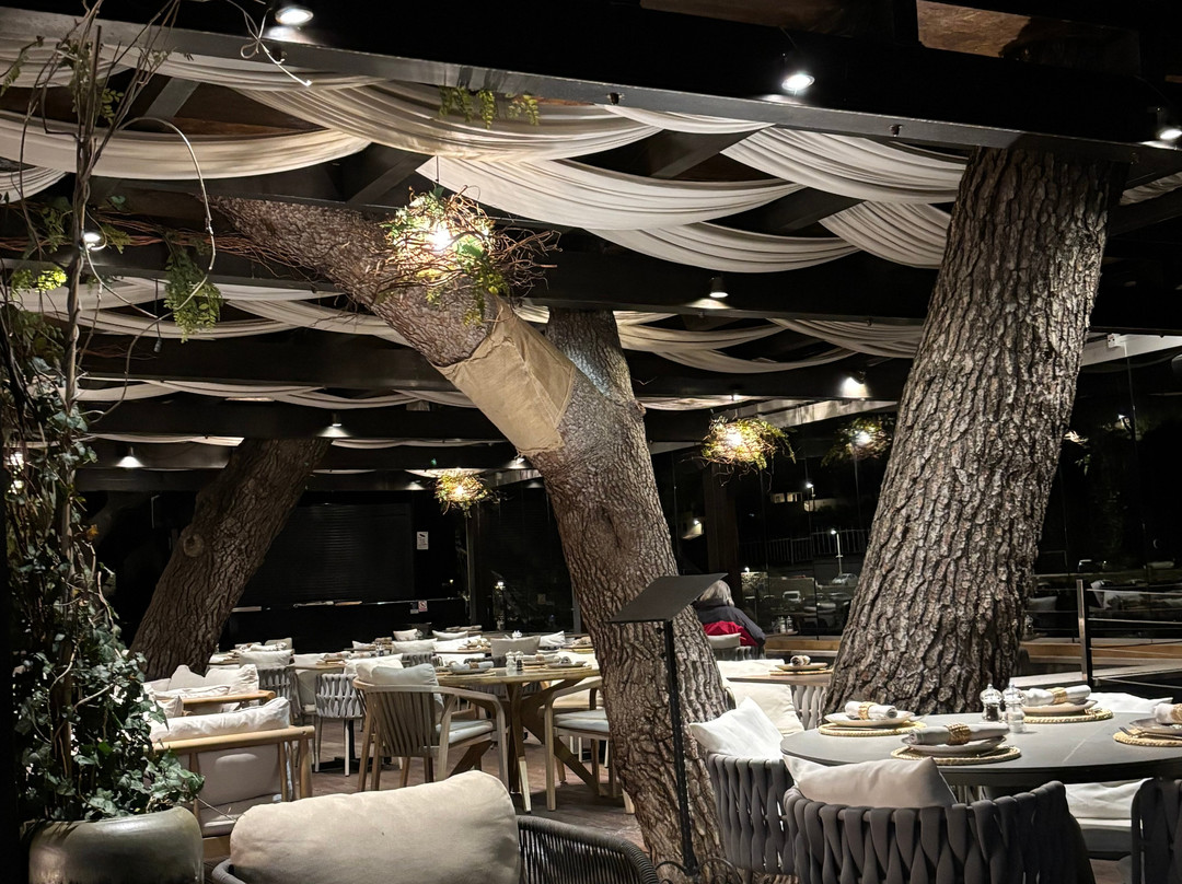 察夫塔特酒店主图