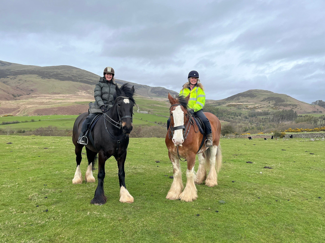 Cumbrian Heavy Horses-Millom必去景点