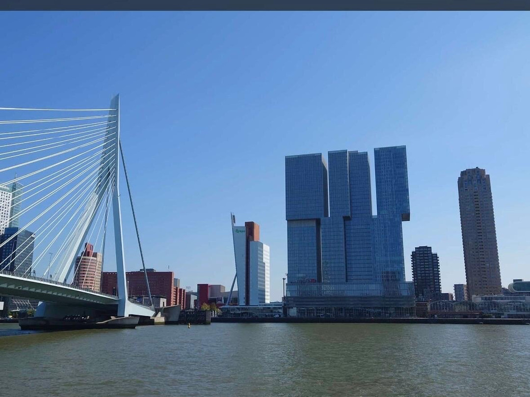 伊拉斯谟大桥-鹿特丹必去景点