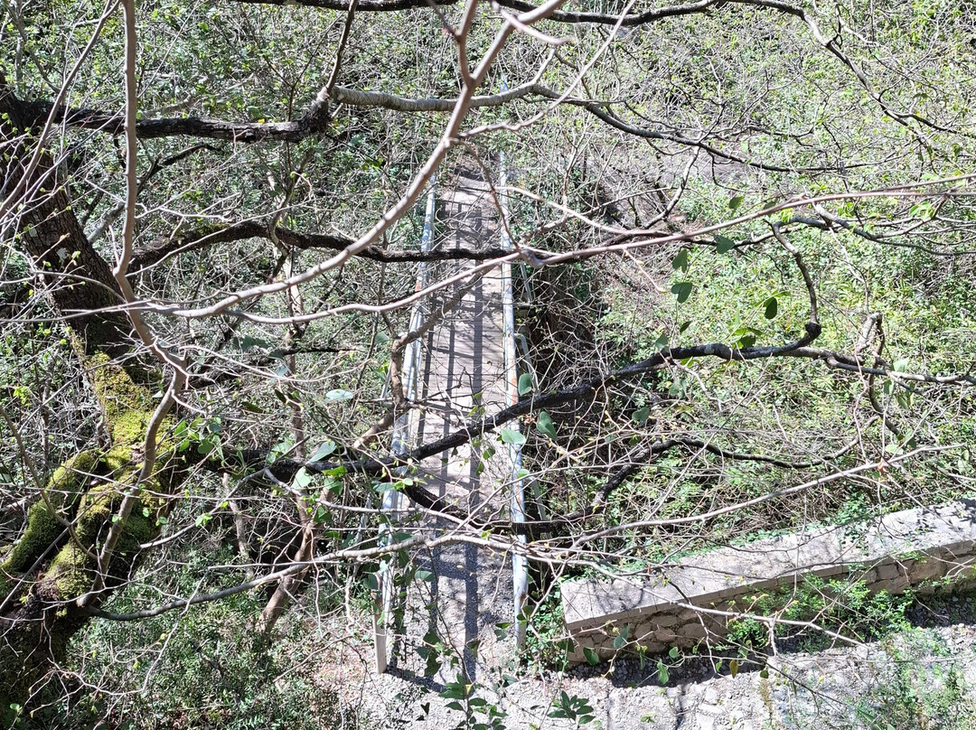 Lousios Gorge-Dimitsana必去景点