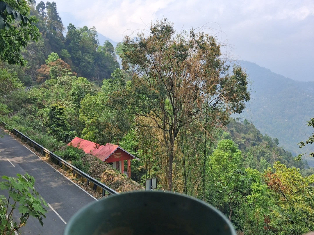 Summit Bougainvillea Tea Resort主图