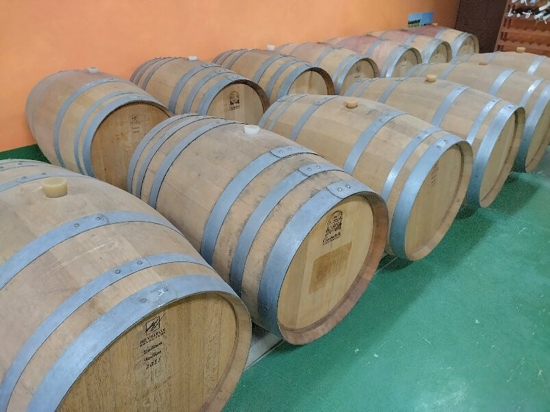 cantina rigàtteri-Santa Maria La Palma必去景点