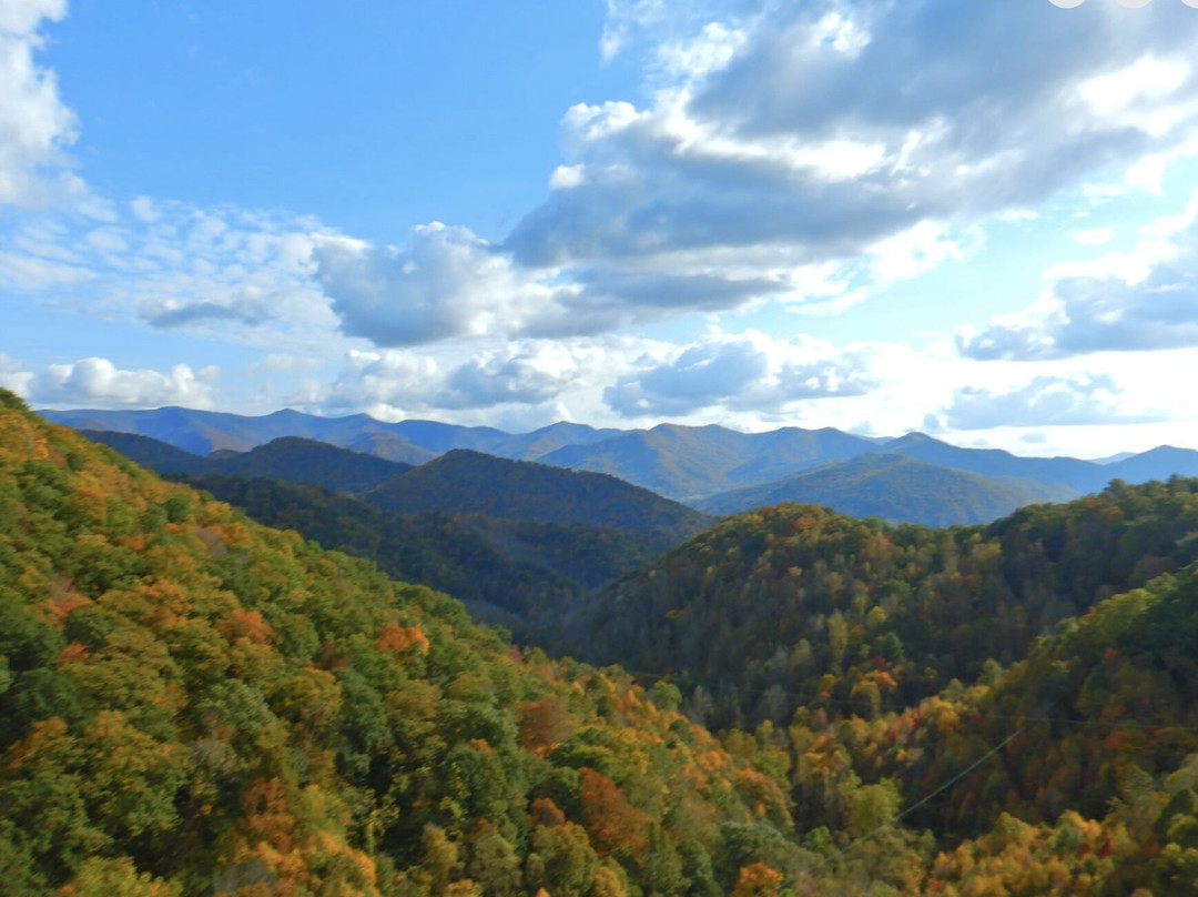 Navitat Canopy Adventures-Barnardsville必去景点