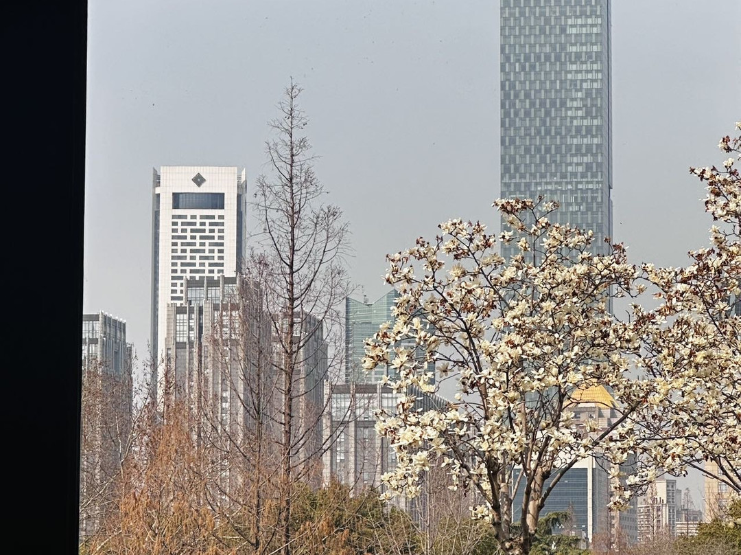 南京圣和府邸豪华精选酒店主图