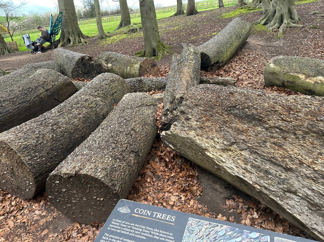 Mother Shipton's Cave-Knaresborough必去景点