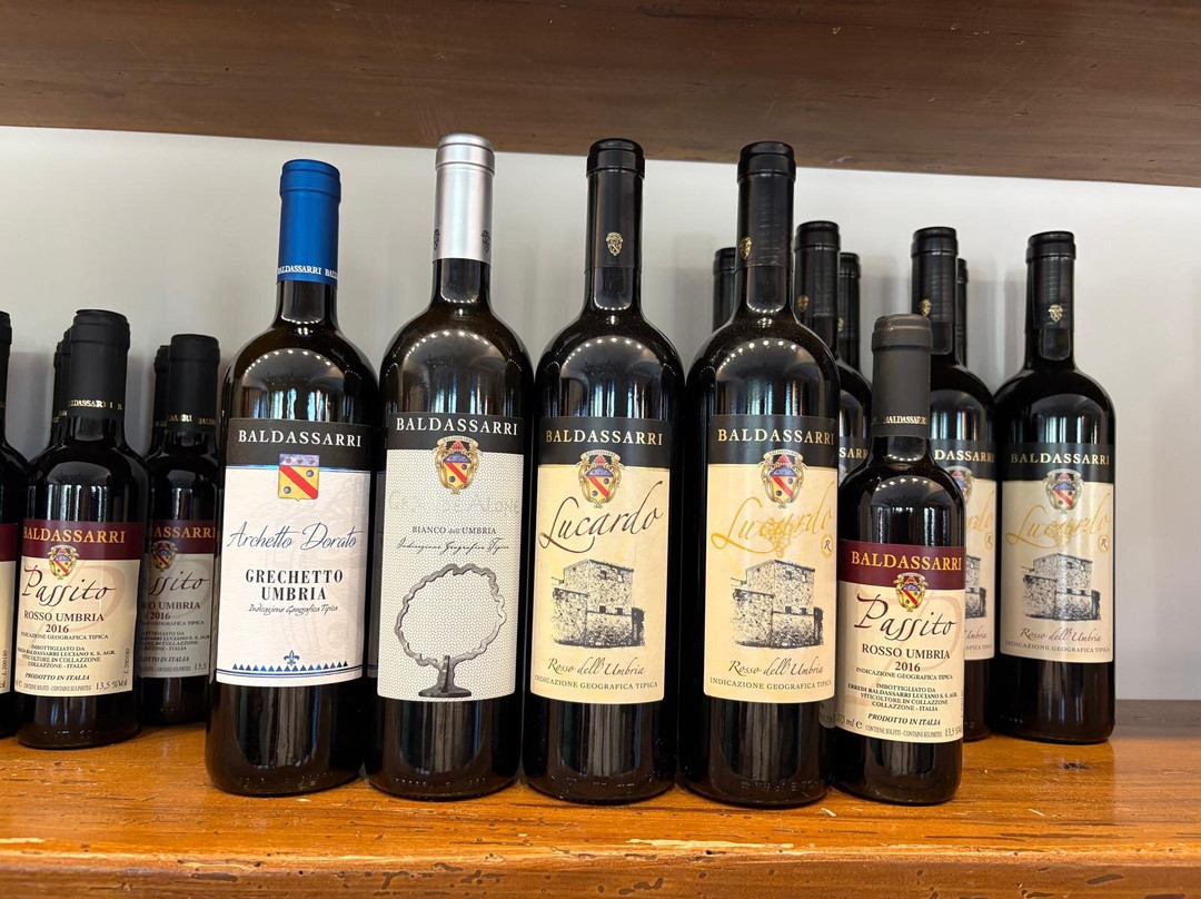 Cantina Baldassarri-Collazzone必去景点