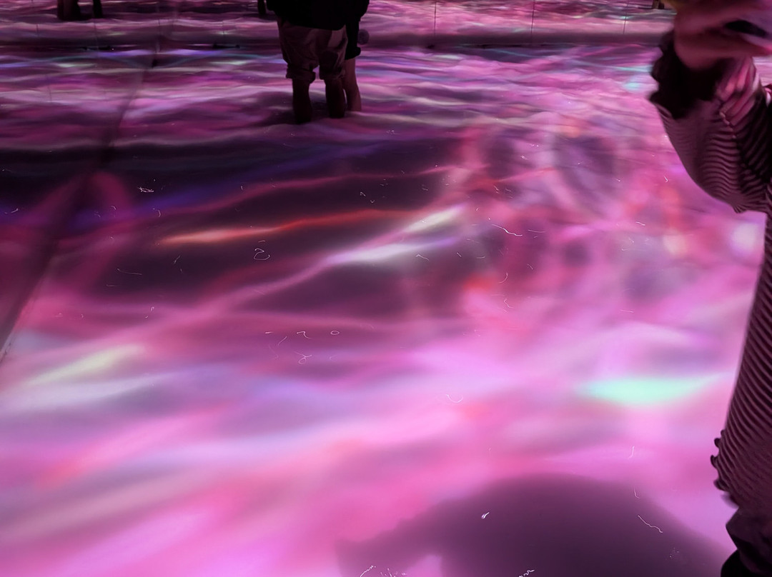 teamLab Planets TOKYO-Toyosu必去景点