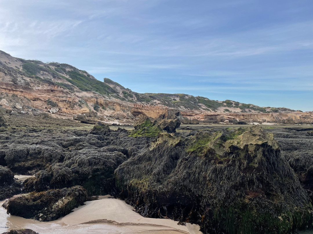 Bridgewater Bay-Blairgowrie必去景点