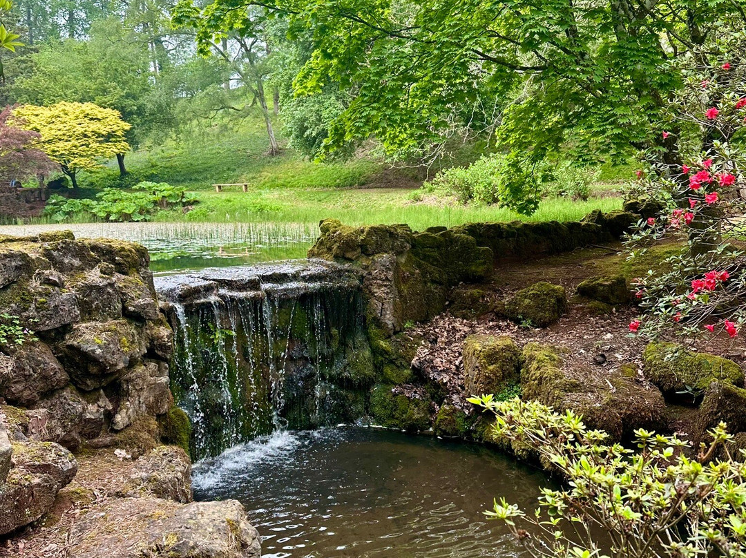 Lydney Park Estate-Lydney必去景点