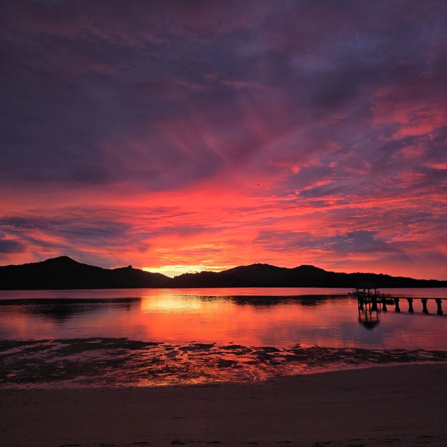 Turtle Island Fiji-旅行者