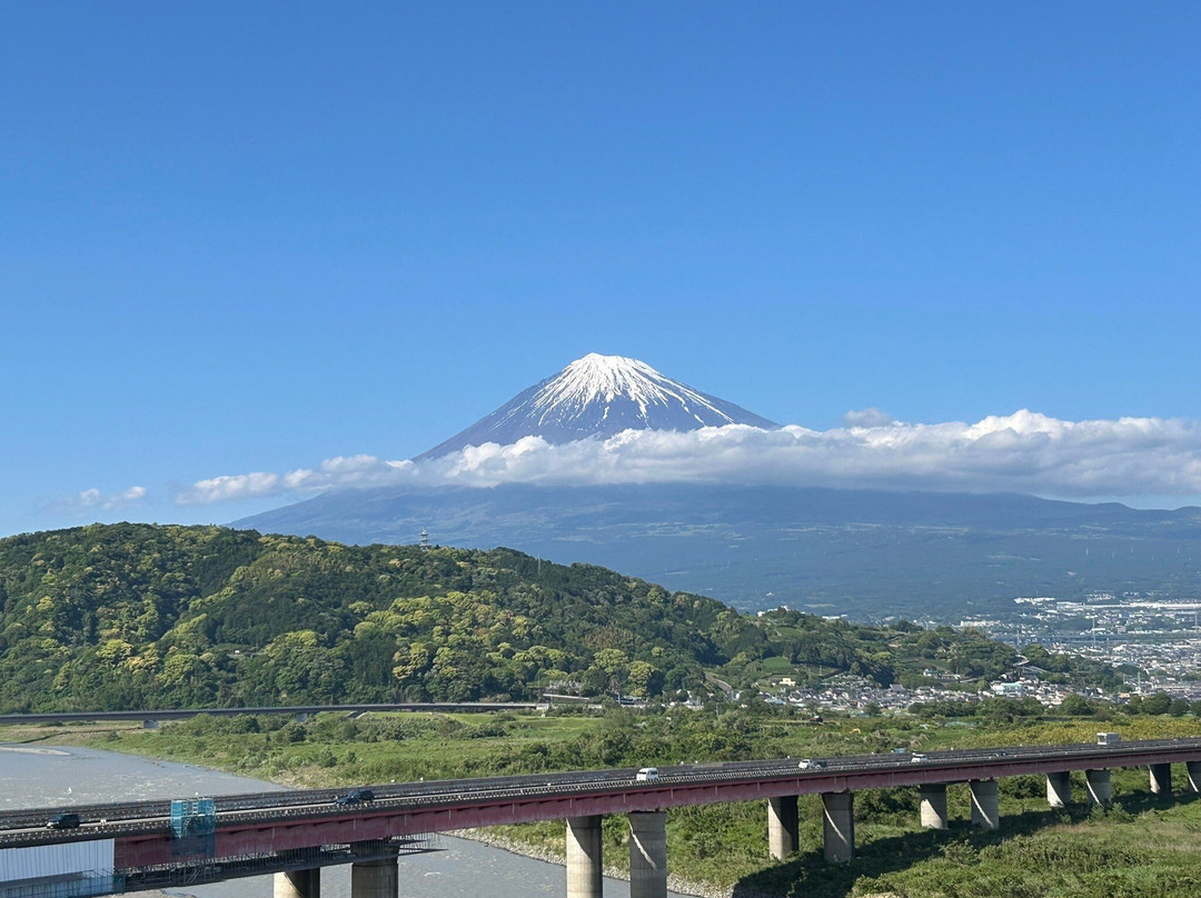 富士川服务区 下行线-富士市必去景点