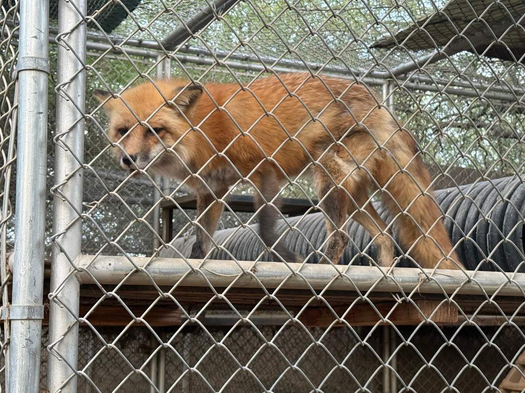 Southwest Wildlife Conservation Center-斯科茨代尔必去景点
