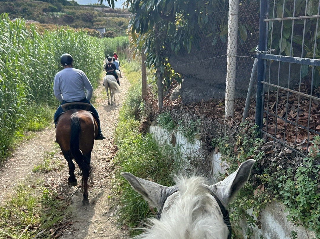 Andale Riding Nerja-内尔哈必去景点