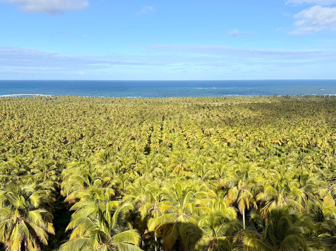 Aventura Eco Brasil-Barra de Sao Miguel必去景点
