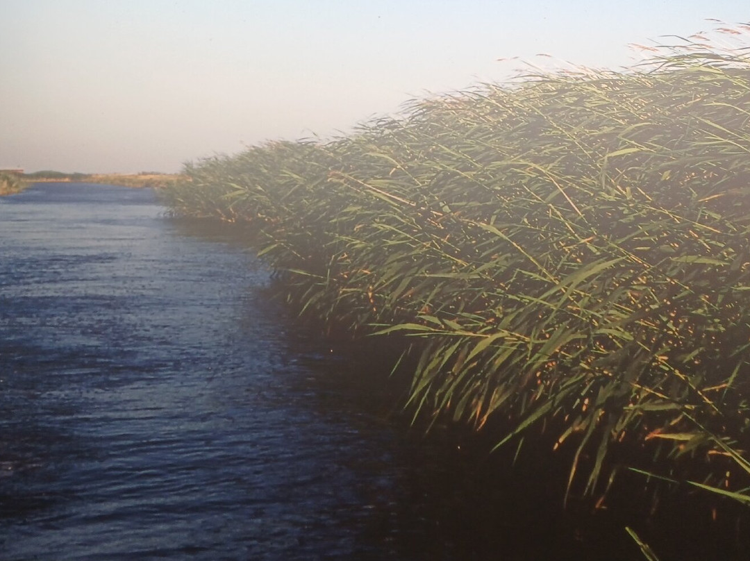 Delta Evros Explorer-Feres必去景点