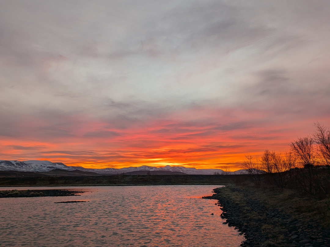 Yogihorse Iceland-Hofsos必去景点