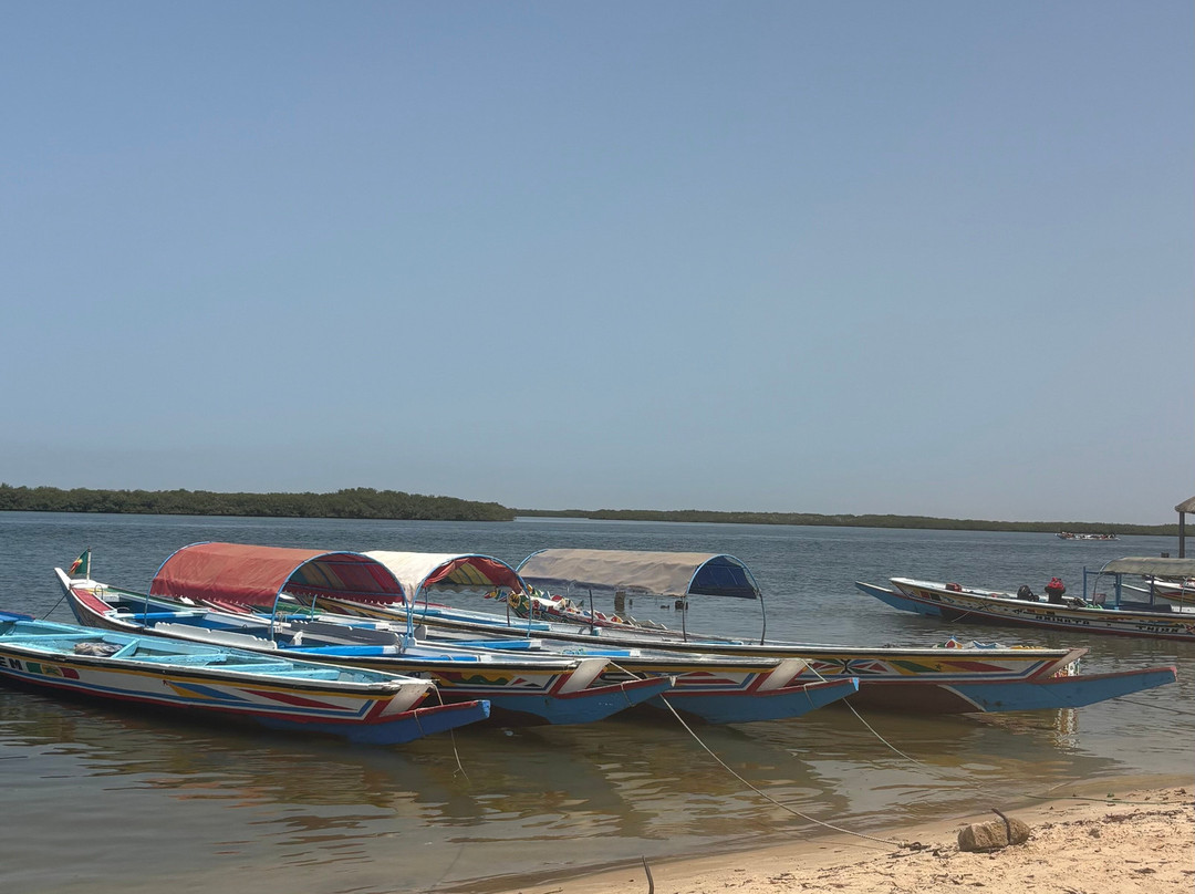 Excursions Départ Hôtel Riu Baobab-Ponto必去景点