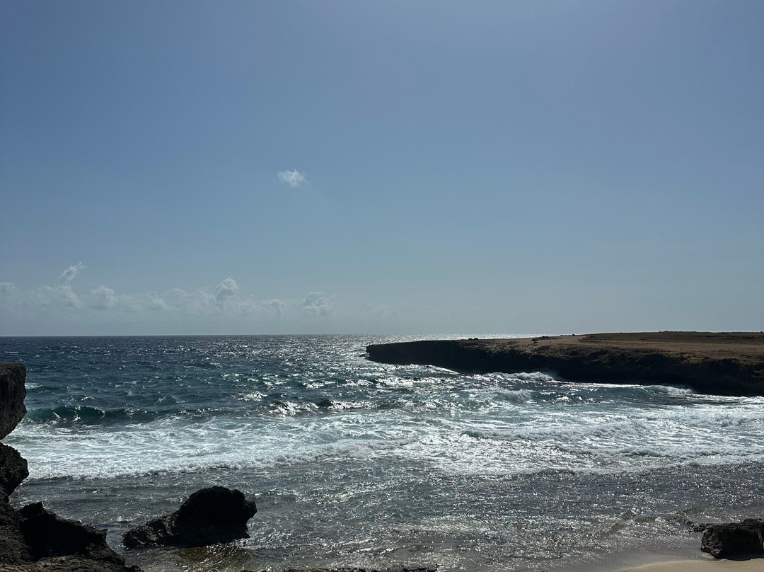 ABC Tours Aruba-奥腊涅斯塔德必去景点
