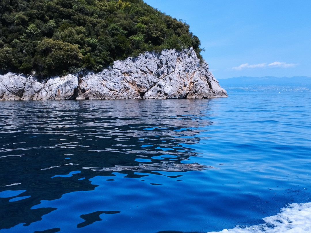 Ema and Marlin Boat Tours-欧帕提亚必去景点