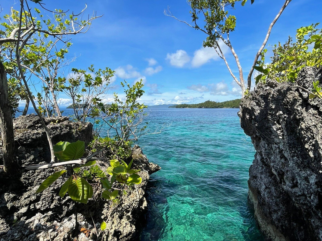 Olin Dive Center-Waisai必去景点