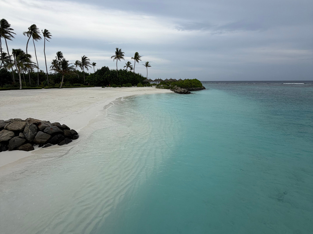 Joy Island Maldives by Cocoon Collection主图