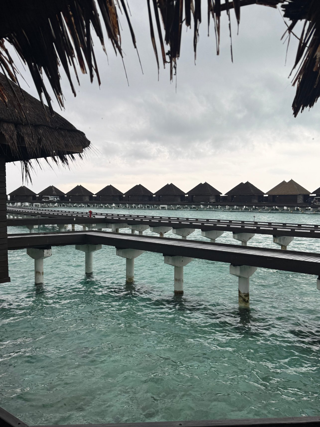 泰姬度假温泉酒店-旅行者