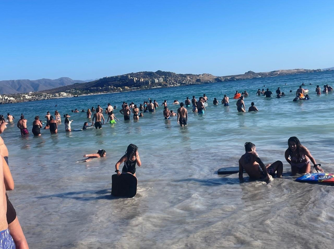 Playa Totoralillo-Coquimbo必去景点