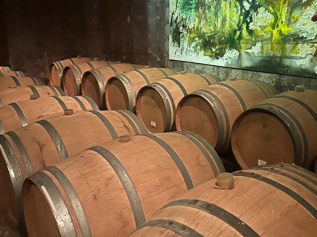 Altieri Wines - Vinorum-路冉得库约必去景点