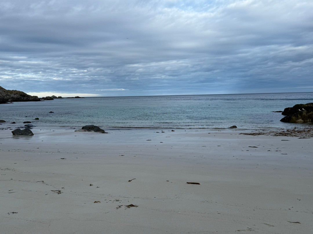 Nordlandshagen på Værøy-Vaeroy必去景点