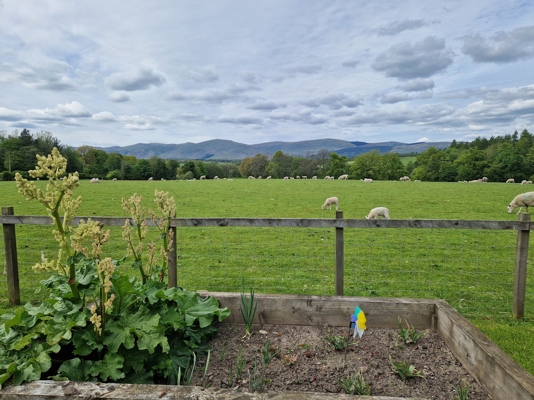 Saline Shaw Farm Shop and Cafe