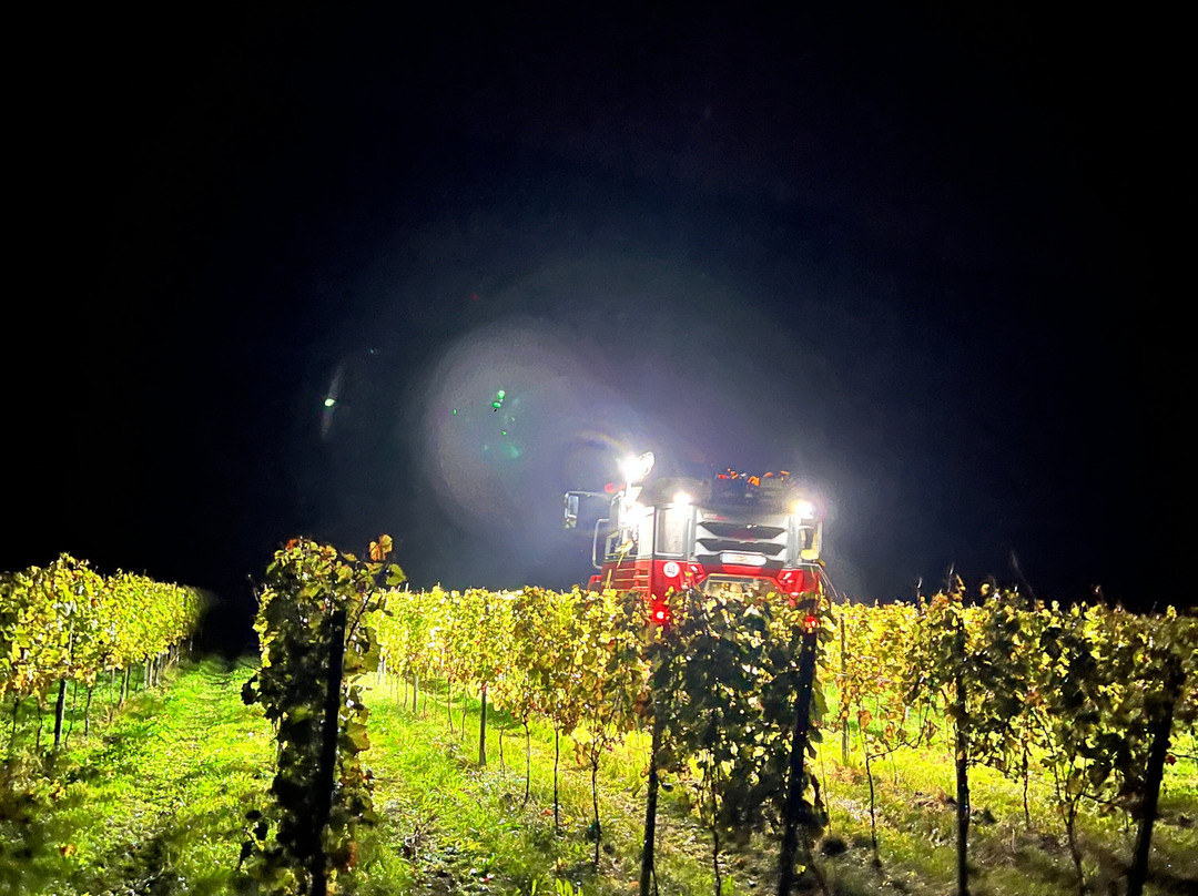 Weingut Kloster Ebernach-科赫姆必去景点