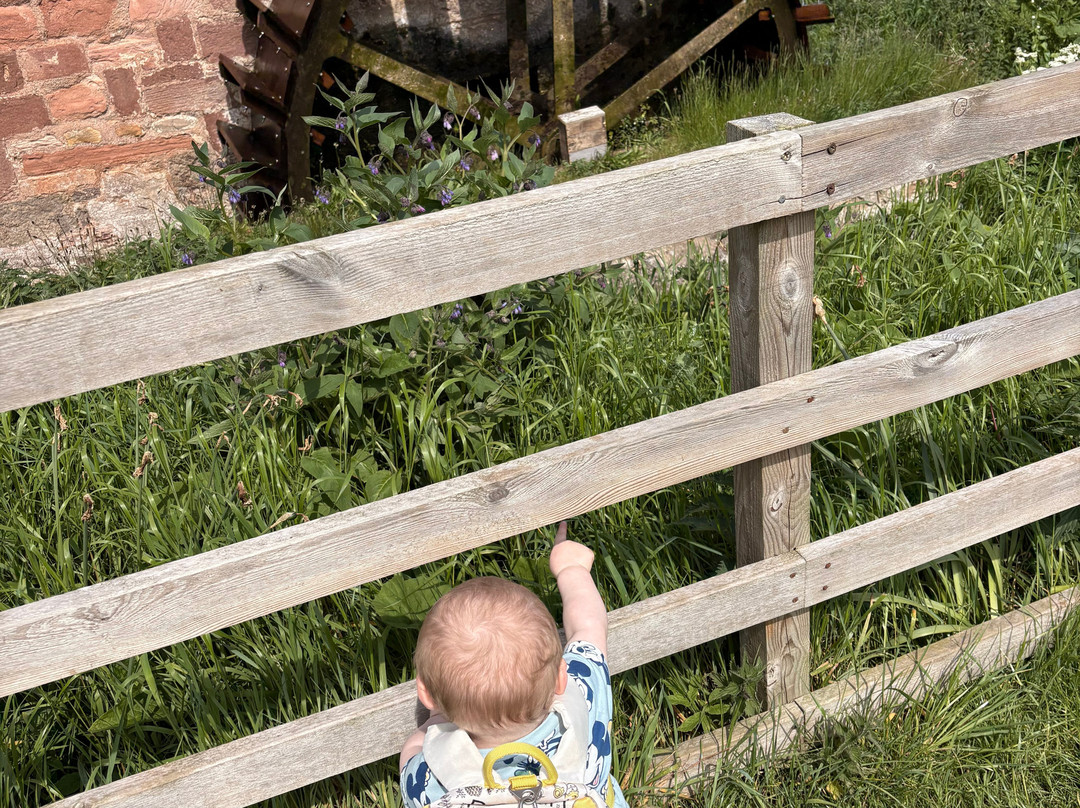 Preston Mill & Phantassie Doocot-East Linton必去景点