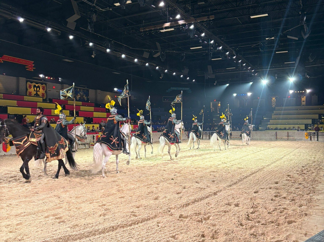 Medieval Times-绍姆堡必去景点
