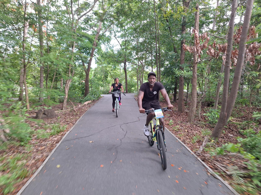 Bamboo Bicycle Tours Thailand-曼谷必去景点
