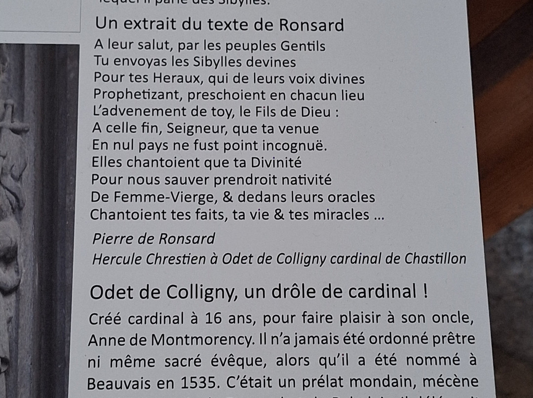 Cathédrale Saint-Pierre-博韦必去景点