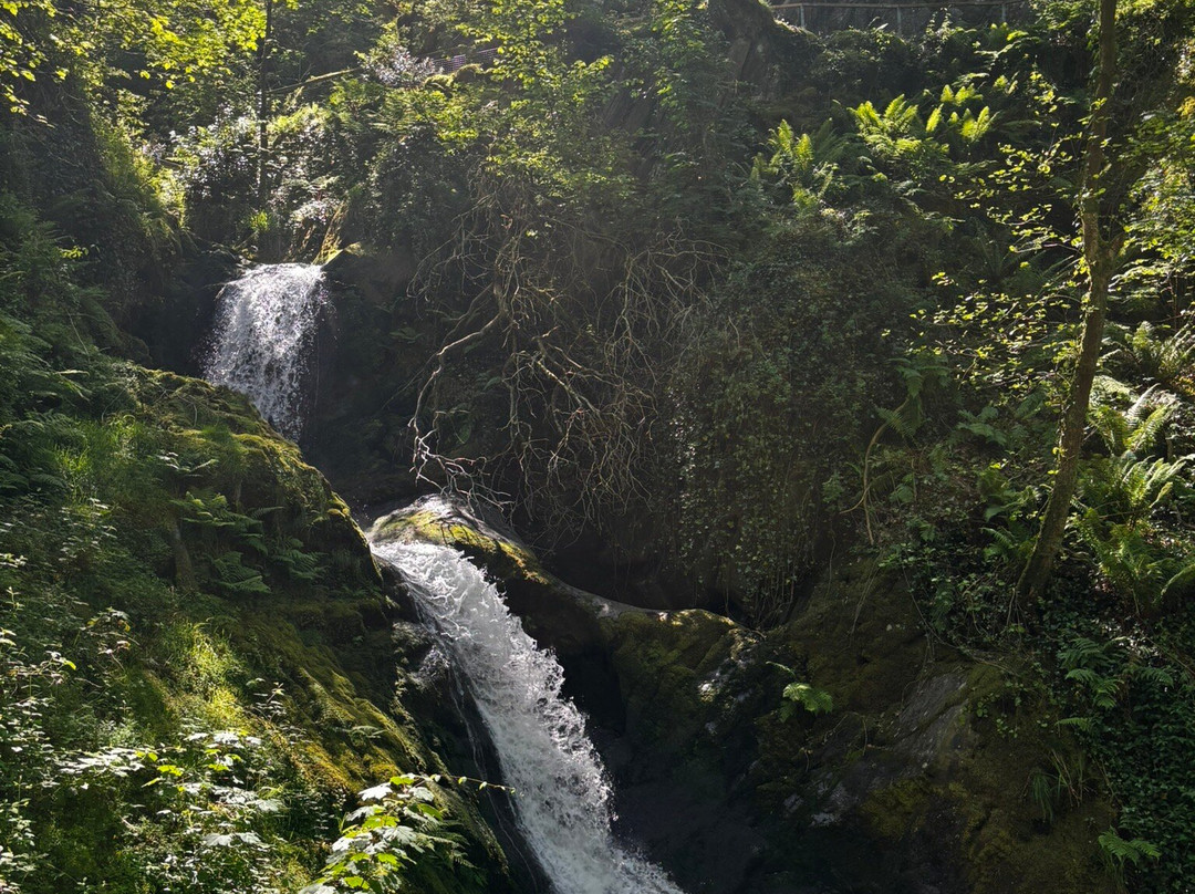 Dolgoch Falls-雪墩国家公园必去景点