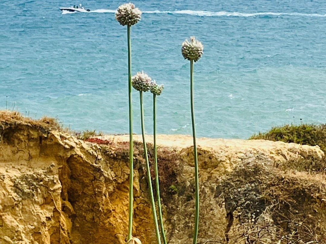 Ponta do Castelo-Carrapateira必去景点