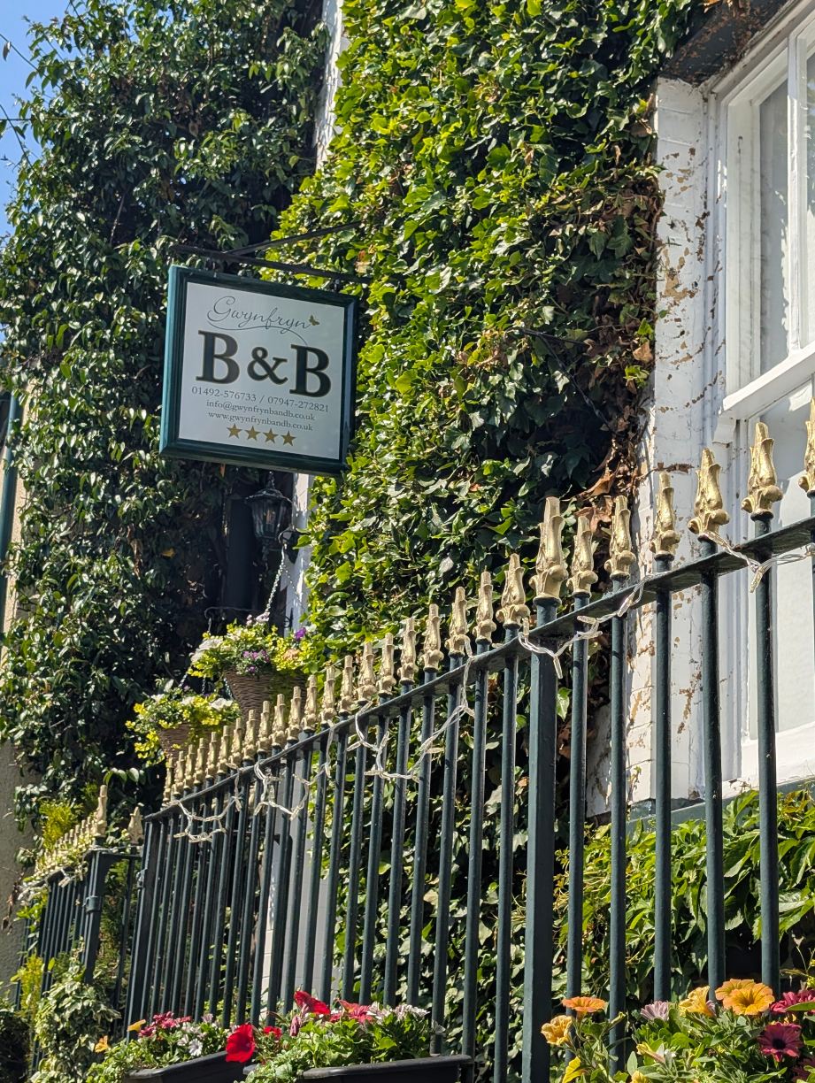 Gwynfryn Bed and Breakfast-旅行者