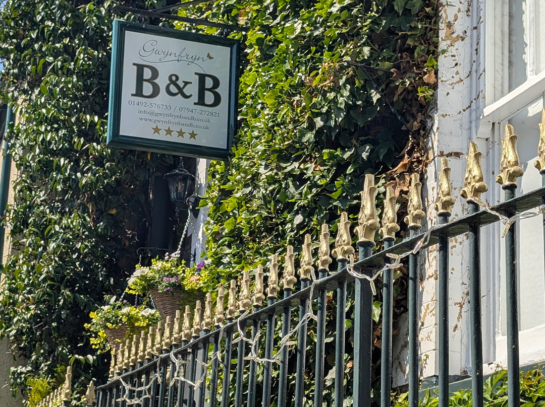Gwynfryn Bed and Breakfast主图
